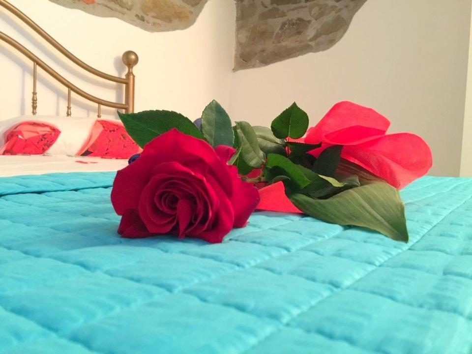 Viola Apartment Πιομπίνο Εξωτερικό φωτογραφία